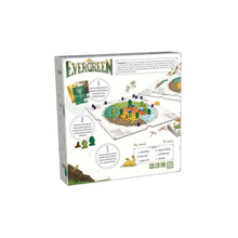 Charger l'image dans la galerie, Evergreen