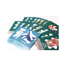 Charger l'image dans la galerie, L'Ile des Prédateurs