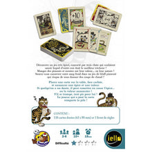 Charger l'image dans la galerie, Spicy